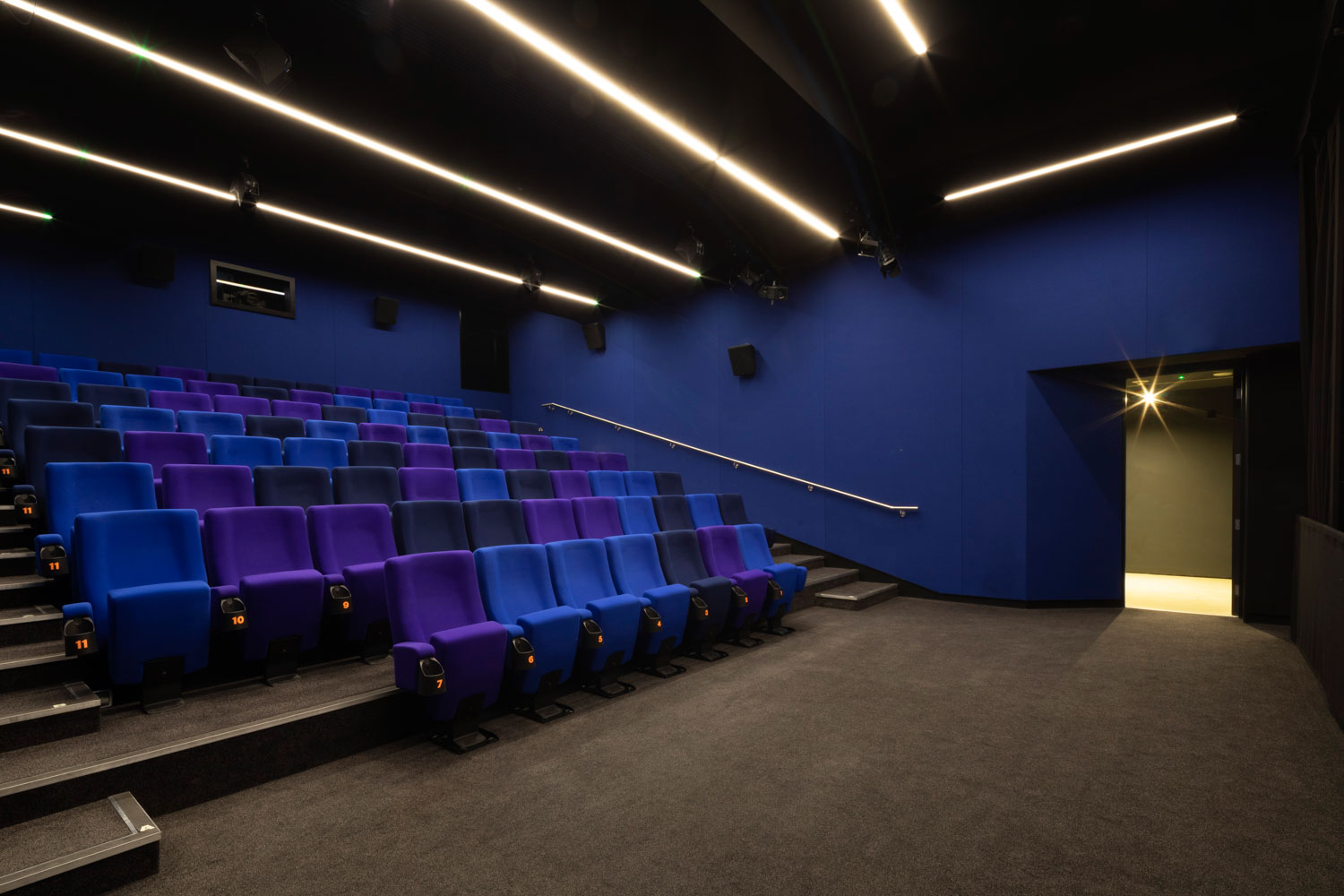 Towner Cinema auditorium, featuring around 80 cushioned seats which fold back