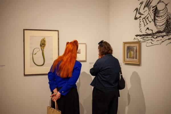 Individual and Guest Membership