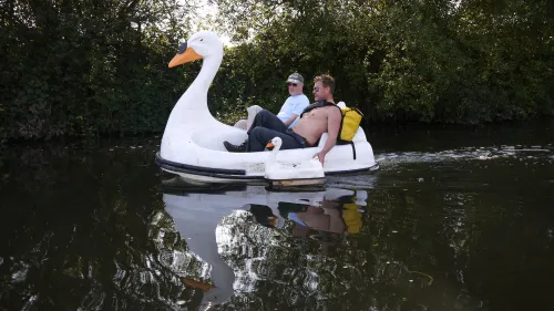 Swandown